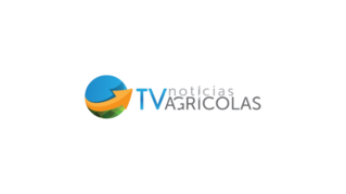 RS-SPORTS-EM-800X450-2-.png